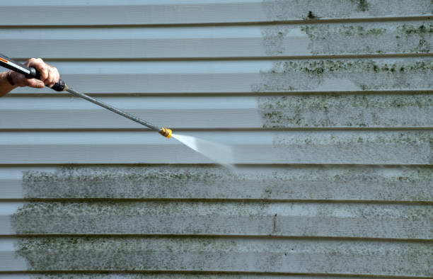 Roof Power Washing Services in Bayou Lourse, LA