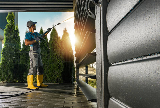 Best Roof Power Washing Services  in Bayou Lourse, LA