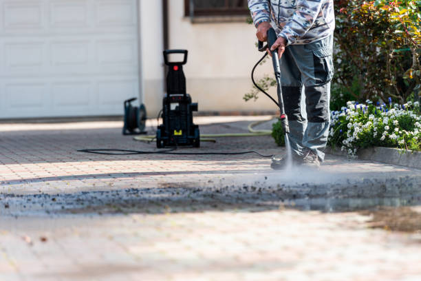 Best Power Washing Near Me  in Bayou Lourse, LA