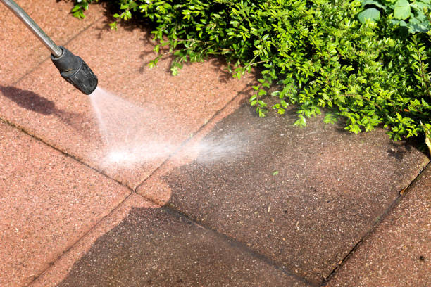 Best Fence Pressure Washing  in Bayou Lourse, LA